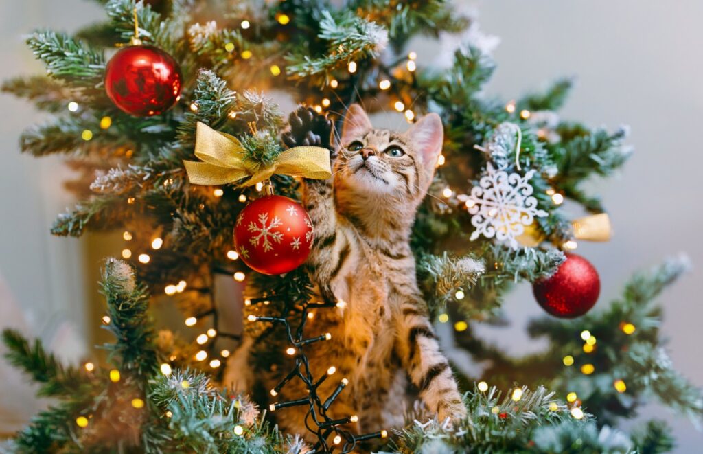 A cat climbing a tree with ornaments 