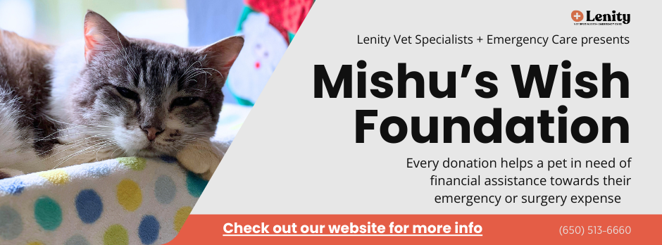Mishu's Wish Foundation. Check out our website for more info!