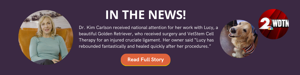 Click here to read the story on Dr. Kim Carlson's work with VetStem Cell Therapy