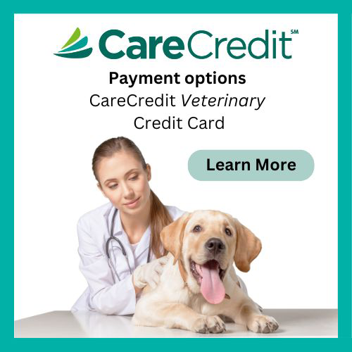 CareCredut - Payment options learn more today!