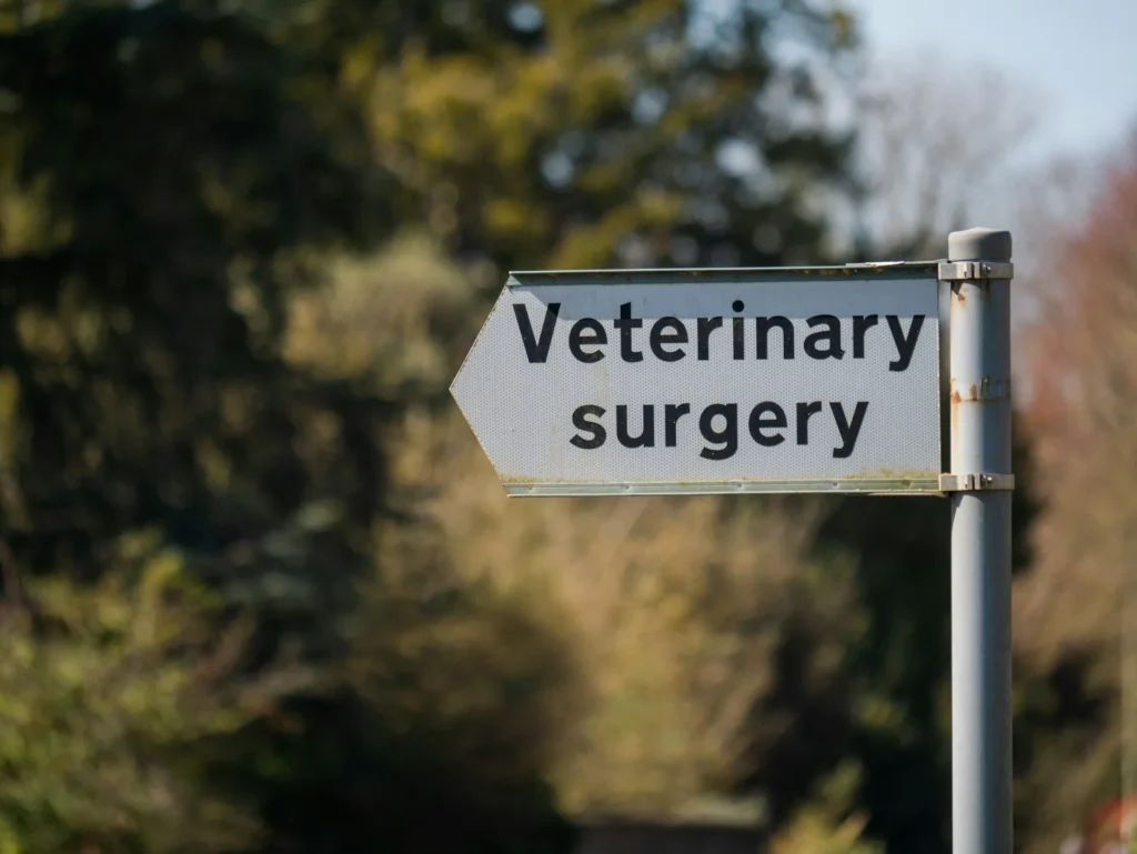 A street sign with an arrow pointing left that reads "Veterinary surgery" against a blurred background of trees.
