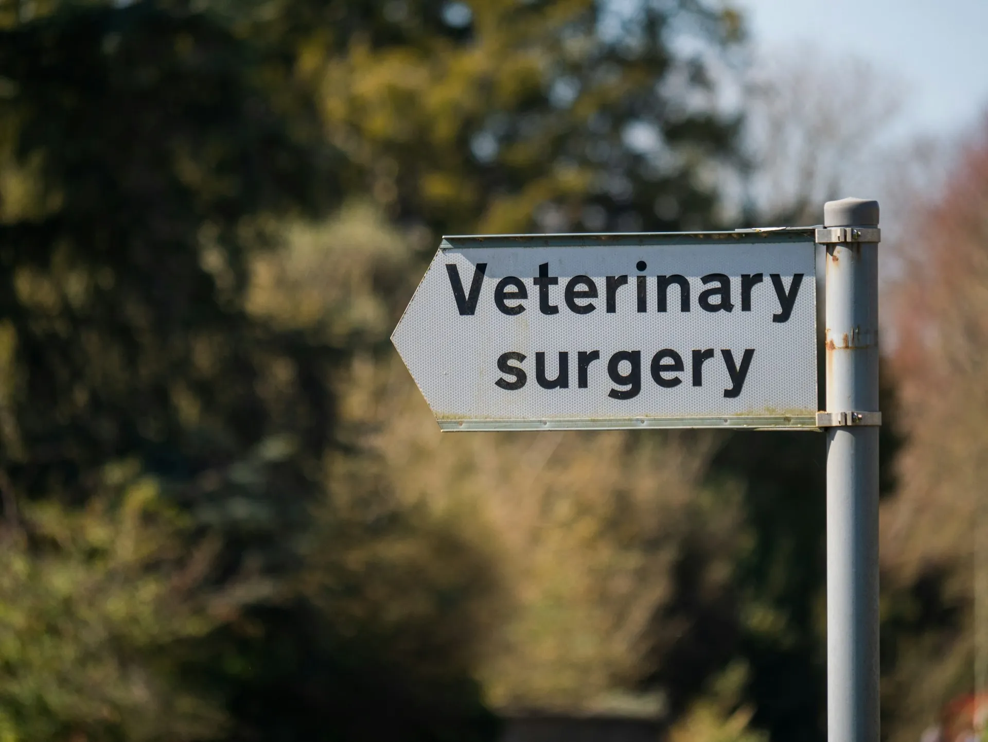 A street sign with an arrow pointing left that reads "Veterinary surgery" against a blurred background of trees.